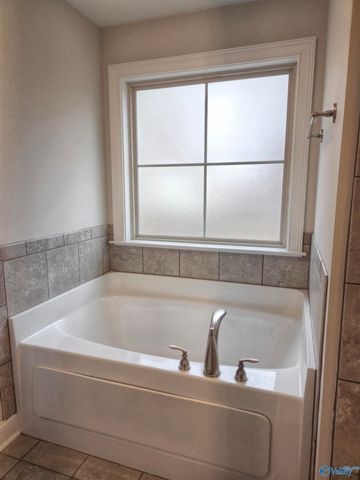 223 Dustin Lane, Madison, AL 35757