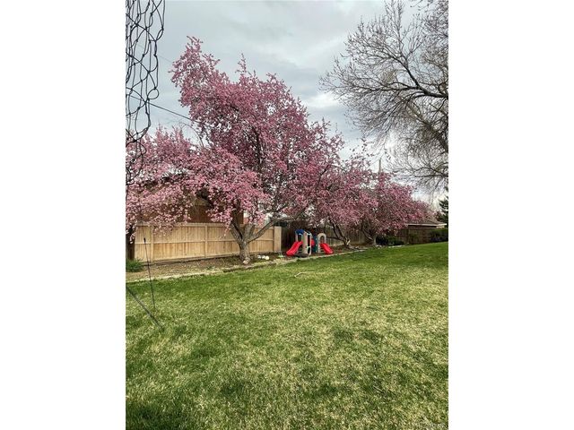 11124 Cherokee St, Northglenn, CO 80234