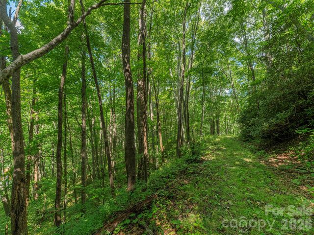 132 Grouse Road 131, 132, 133, 134, Clyde, NC 28721