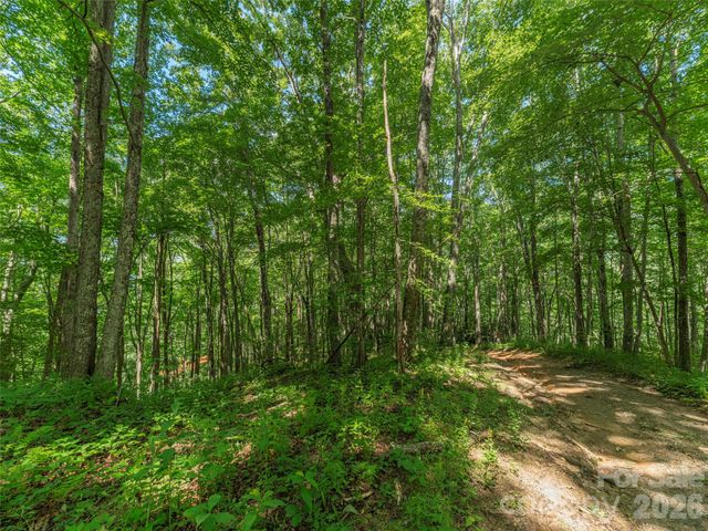 132 Grouse Road 131, 132, 133, 134, Clyde, NC 28721