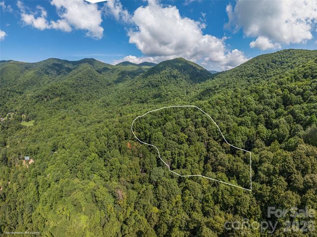132 Grouse Road 131, 132, 133, 134, Clyde, NC 28721