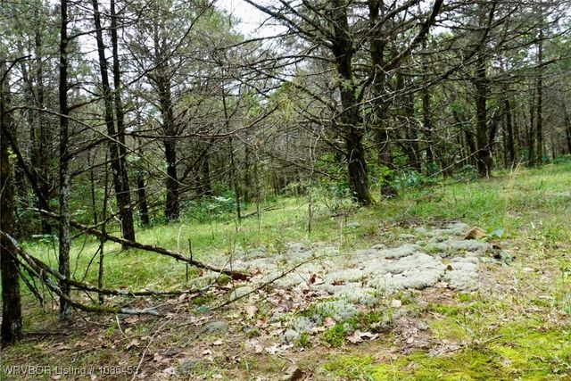 6505 Shaver Road, Lavaca, AR 72941