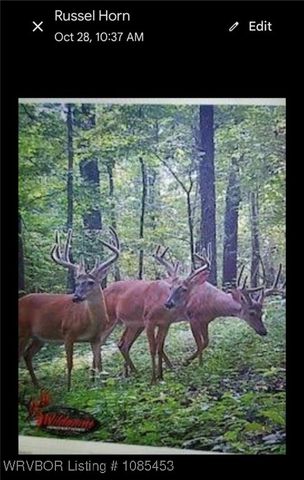 6505 Shaver Road, Lavaca, AR 72941