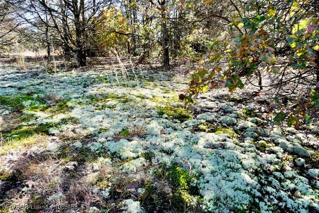 6505 Shaver Road, Lavaca, AR 72941