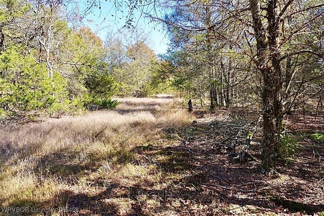 6505 Shaver Road, Lavaca, AR 72941