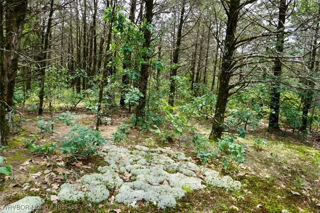 6505 Shaver Road, Lavaca, AR 72941