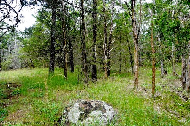 6505 Shaver Road, Lavaca, AR 72941