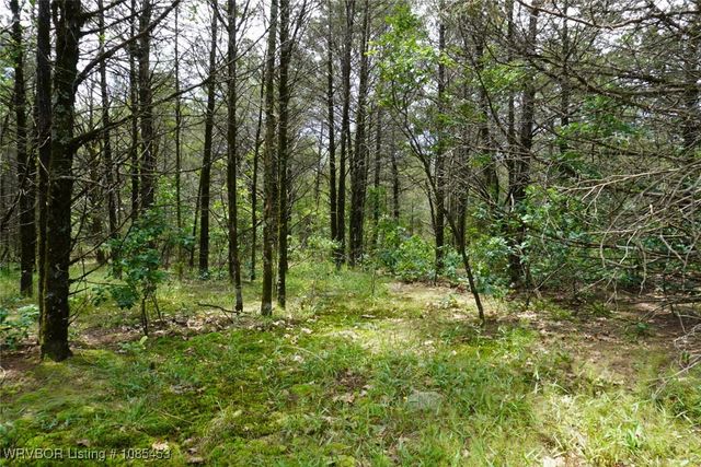 6505 Shaver Road, Lavaca, AR 72941