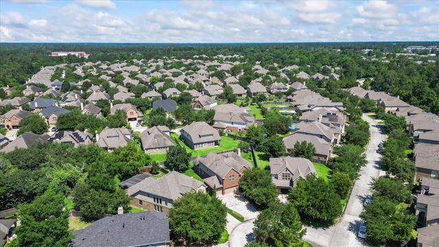 6 Newgrove Court, The Woodlands, TX 77354