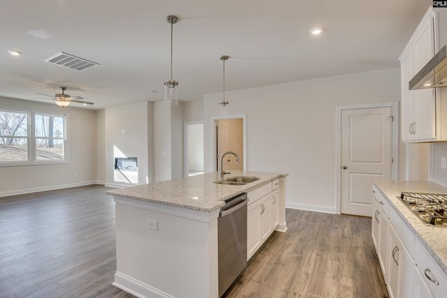 617 Basalt Court, Chapin, SC 29036