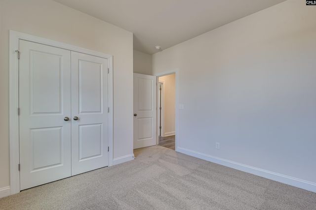617 Basalt Court, Chapin, SC 29036