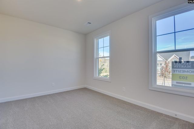 617 Basalt Court, Chapin, SC 29036