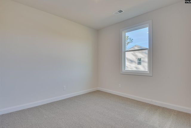617 Basalt Court, Chapin, SC 29036