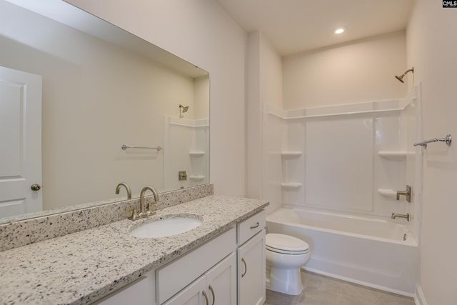 617 Basalt Court, Chapin, SC 29036