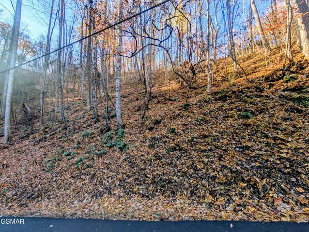 Lot 339 Ridgefield Drive, Sevierville, TN 37876