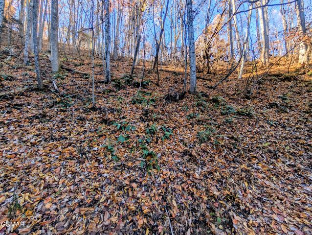 Lot 339 Ridgefield Drive, Sevierville, TN 37876