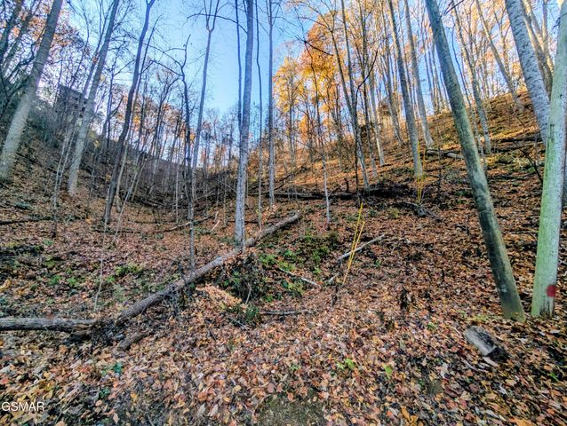 Lot 339 Ridgefield Drive, Sevierville, TN 37876