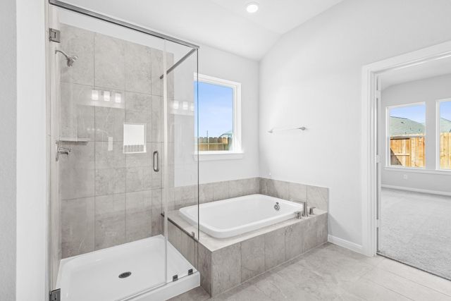 26566 Delightful Drive, Hockley, TX 77447