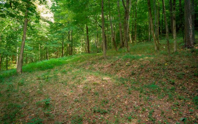 1754 Oakbrook Trail, Ooltewah, TN 37363