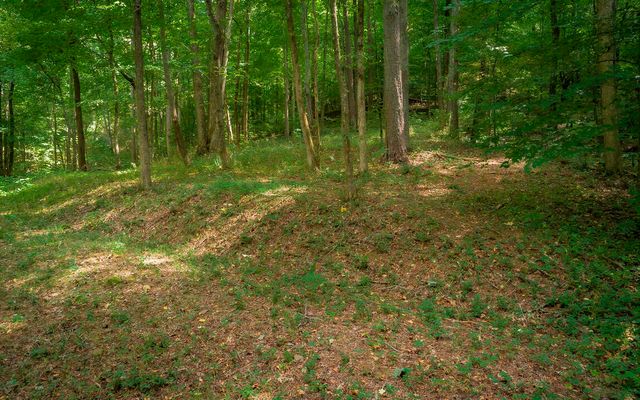 1754 Oakbrook Trail, Ooltewah, TN 37363