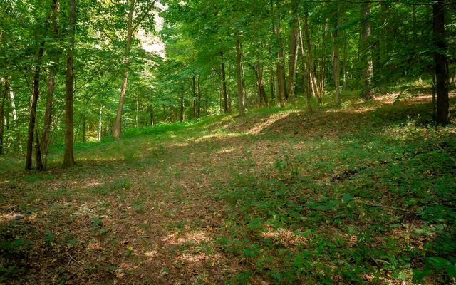 1754 Oakbrook Trail, Ooltewah, TN 37363