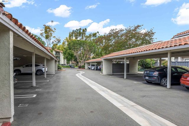 419 Tangelo, Irvine, CA 92618