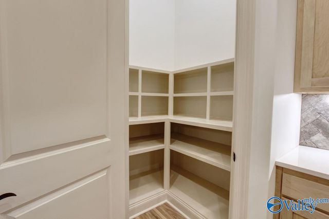 12358 Narayan Street, Madison, AL 35756