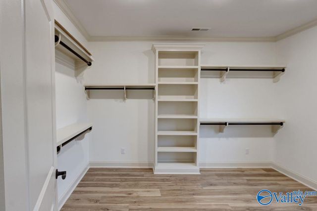 12358 Narayan Street, Madison, AL 35756