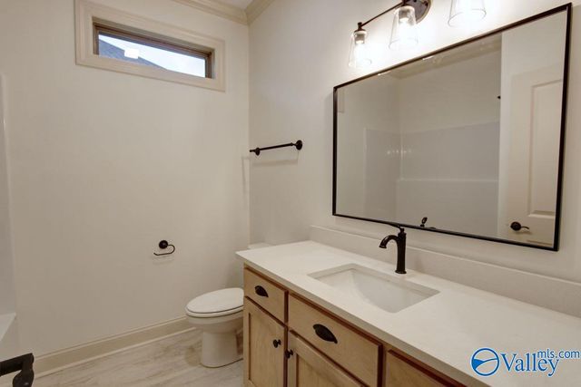 12358 Narayan Street, Madison, AL 35756