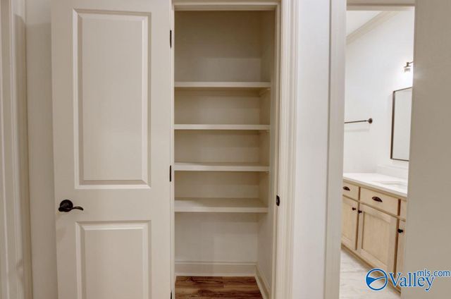 12358 Narayan Street, Madison, AL 35756