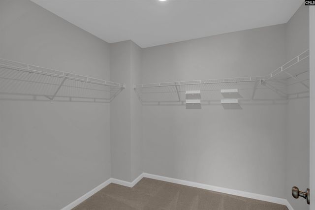 1378 Tanreall Drive, Lexington, SC 29073