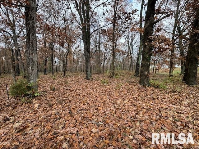 5267 Old North Road, Christopher, IL 62822