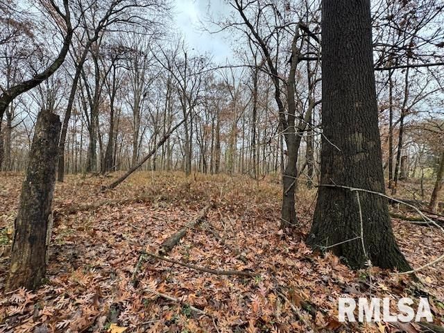 5267 Old North Road, Christopher, IL 62822