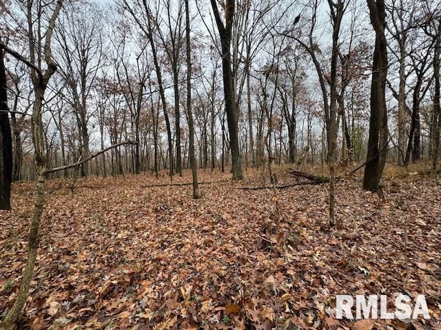 5267 Old North Road, Christopher, IL 62822