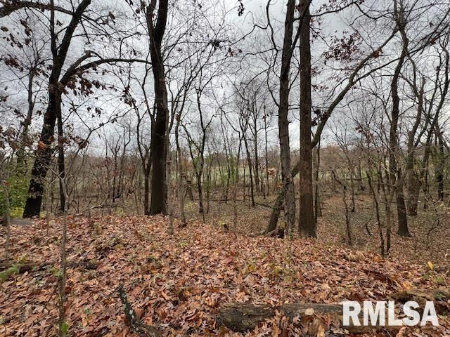 5267 Old North Road, Christopher, IL 62822