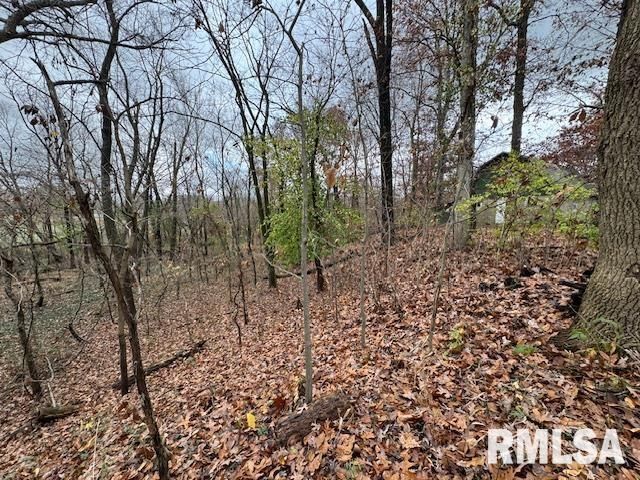 5267 Old North Road, Christopher, IL 62822