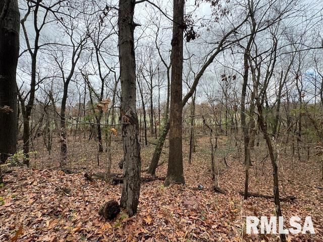 5267 Old North Road, Christopher, IL 62822