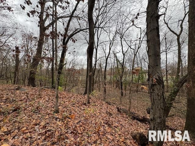 5267 Old North Road, Christopher, IL 62822