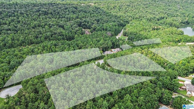 0 WHITE TAIL RUN, Chelsea, AL 35043