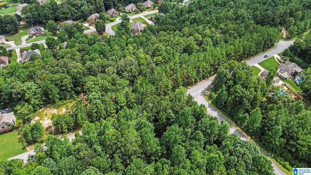 0 WHITE TAIL RUN, Chelsea, AL 35043