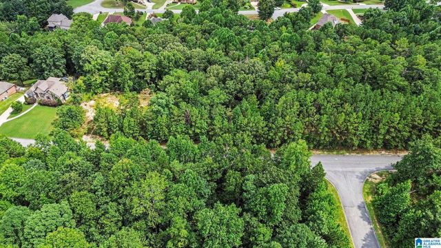 0 WHITE TAIL RUN, Chelsea, AL 35043