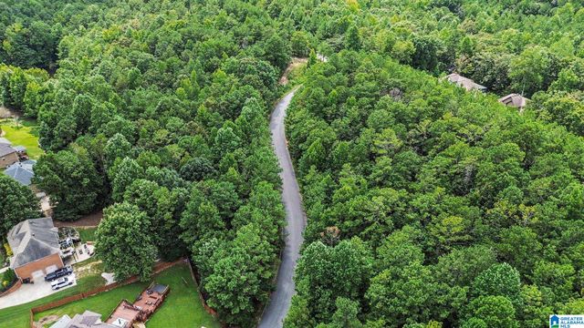 0 WHITE TAIL RUN, Chelsea, AL 35043