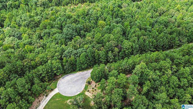 0 WHITE TAIL RUN, Chelsea, AL 35043
