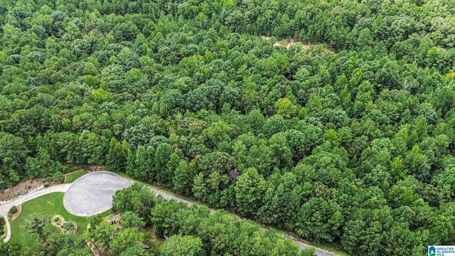 0 WHITE TAIL RUN, Chelsea, AL 35043