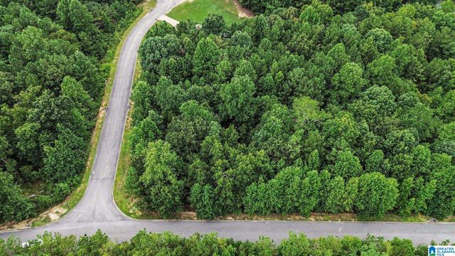 0 WHITE TAIL RUN, Chelsea, AL 35043