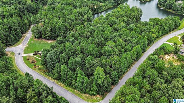 0 WHITE TAIL RUN, Chelsea, AL 35043