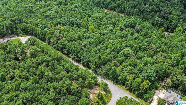 0 WHITE TAIL RUN, Chelsea, AL 35043