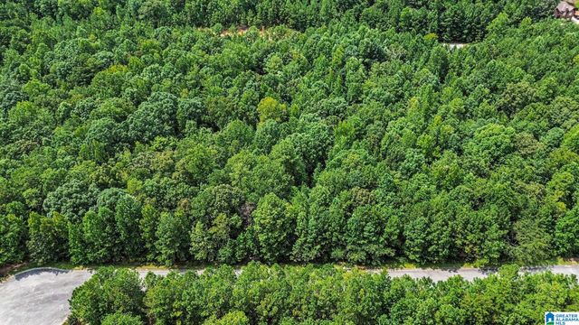 0 WHITE TAIL RUN, Chelsea, AL 35043
