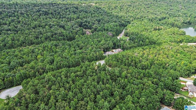 0 WHITE TAIL RUN, Chelsea, AL 35043