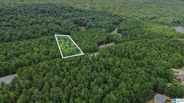 0 WHITE TAIL RUN, Chelsea, AL 35043